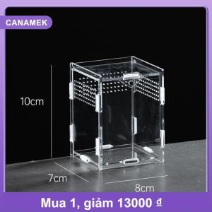 【CANAMEK】 Acrylic trong suốt bò sát chăn nuôi hộp Terrarium môi trường sống côn trùng nhện thằn lằn Bọ Cạp ăn lồng arboreal bao vây trường hợp