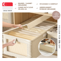 [SG STOCKS] Non-Woven Drawer Organizer / Compartments with Transparent Velcro Lid, Clothes & Underwear Organizer. 