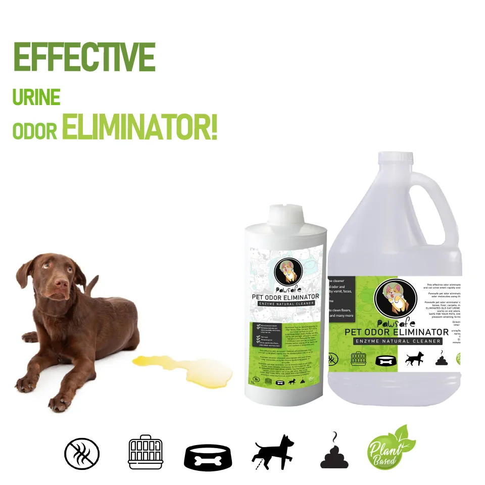 Dog pee clearance enzyme cleaner