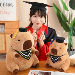 JOJO CASTLE  Capybara Plush Toy 30/40cm Simulation Capibara Cosplay Doctor Stuffed Animals Kawaii Plushie Cute Doll Stuffed Animals Soft Doll Plush Gift Kid Toys 卡皮巴拉 水豚鼠