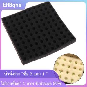 [COD] EHBqna KITCHEN 100 pcs soilless hydroponic ผักสถานรับเลี้ยงเด็กฟองน้ำวัฒนธรรมปลูกน้ำ