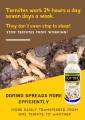 Domino 5SC Fipronil Termiticide Termites Wood Anay Killer Bukbok Termite Killer Spray No Odor Odorless 1 Liter. 