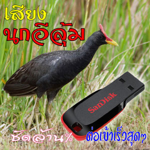 เสียงต่อนกอีลุ้ม นกตูม นกตุ้ม เมมเสียงนกอีลุ้ม แฟลชไดร์ฟเสียงต่อนกอีลุ้ม มีเก็บเงินปลายทาง