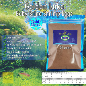GOLDEN LAKE (DIRECT DISTRIBUTOR) BBS Eggs Baby Brine Shrimp Hatchable Salt Lake US fish food