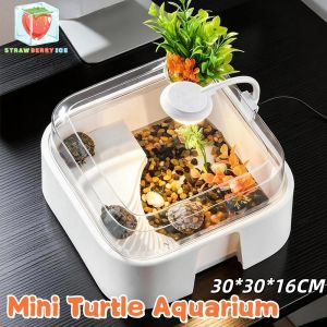 Mini Turtle Aquarium Ecological with Light Aquarium Amphibian&Reptile Desktop Landscape