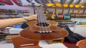 Đàn UKULELE Gỗ Hồng Đào PU Bóng Size Số 3 DUKU-HD3