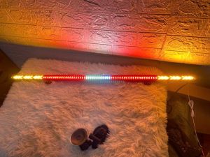 Led hậu thanh ô tô xe tải 81cm cực đẹp. Led hậu sau xe xương cá điện 12/24v