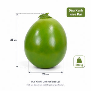 Trái Dừa Xanh/ Nâu size Đại | Trái Cây Nhựa foam Trái Cây trang trí Trái Cây Mô Hình