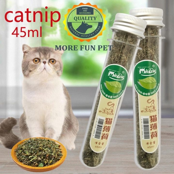 10g (45 ml) Catnip for Cats Cat Treat Lazada PH