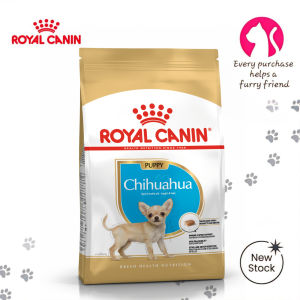 Royal Canin Chihuahua Puppy 500g Premium Dry Dog Food  - Breed Health Nutrition Formula for Pups Up to 8 Months | Small Breed Kibble for Immune Support Better Digestion and Stool Odor Control [New Stock]