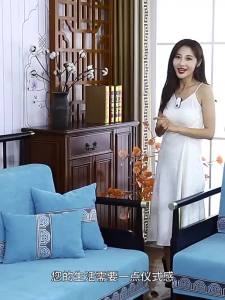 123 New Chinese Style Sofa Cushion All Season Non-Slip Seat Pad Solid Red Wood Snail Cover Real Wood Sofa Cover