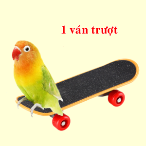 Đồ Chơi Đồ Huấn Luyện Chim Vẹt Sóc...Qủa Bóng Xe Đẩy Ván Trượt Tháp Vòng Hộp Xu...