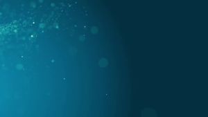 ไดร์เป่ามือเชิงพาณิชย์ AIKE Elephant Power ความเร็วสูง ลมอุ่นอัตโนมัติ ฝาครอบสแตนเลสขัดเงา รุ่น AC110V-130V AK2812