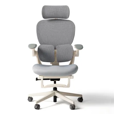 Hinomi Q2 Ergonomic Chair with Memory Foam Free Footrest Office Chair with Adjustable Lumbar Support Headrest Armrest