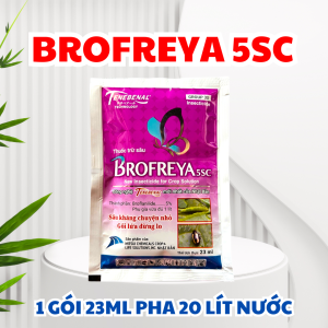 Brofreya 5SC – Giải pháp trừ sâu bọ trĩ rầy xanh bọ nhảy dòi đục lá hiệu quả thế hệ mới!