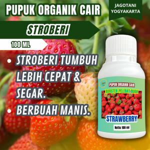 Pupuk Organik Cair Stroberi 100 Ml Booster Agar Cepat Berbuah Lebat Manis By Jagotani Yogyakarta