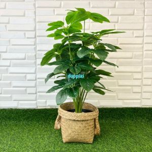 Pohon Plastik Tanaman Hias Anubias Hijau X18 Semilatex Cover Pot Anyaman Purun Handle Dekorasi Ruang Tamu