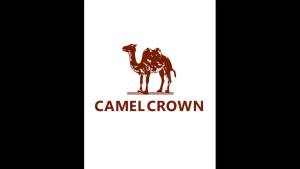 Quảng Đông A♢Balo leo núi CAMEL CROWN 30L không thấm nước sức chứa lớn cho đi bộ đường dài/ sử dụng ngoài trời3/20