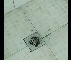 ผงทะลวงท่อตันทําความสะอาดท่อน้ํา Drain cleaning powder