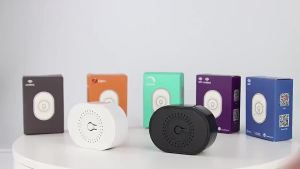 SMATRUL 16a 2 Way Diy Smart Wireless Switch Light Electrical 433mhz Rf 10 Key Remote Control Relay Receiver Home Led Lamp On Off 220v 110v