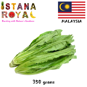 CRISP FRESH & NUTRITIOUS YOU MAI CAI IMPORTED FROM MALAYSIA - 350G - ISTANA ROYAL FRUITS