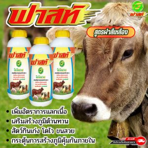 สัตว์กินเก่งลักษณะดี ขนสวย โตไว เร่งการสืบพันธุ์ ปลอดภัยต่อผู้บริโภค ฟาสท์ไคโตซานฝาเหลือง3ขวด สินค้าพร้อมจัดส่งใน1วัน อาหารผสมสำหรับสัตว์