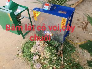 Máy băm cỏ voichuối lát năng suất 500-700kg//giờ