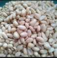 KACANG KUPAS ASLI TUBAN. 