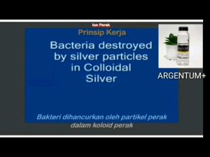 Ion Perak Argentum+ Colloidal Silver Ionic Silver Anti Virus Anti Bakteri Anti Kuman Paket Hemat 1