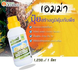 เอมม่า ยับยั้งเชื้อรา ปุ๋ยน้ำ ใบไหม้ ราแป้ง รากเน่าโคนเน่า ใบด่าง ผลเน่า 1000 ซีซี