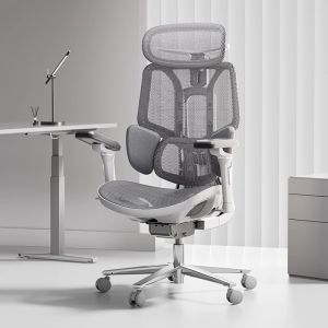HBADA E3 Pro 4.0 Ergonomic Chair