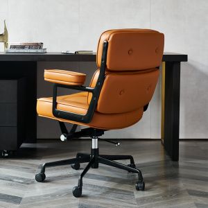 Alefye Ergonomic Office Chair Simple Home Boss Study Computer Chair Leisure Designer Robin Chair