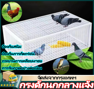 IIKKPP ขนาดใหญ่เพนียดดักนก กรงดักนก กรงกับดักนกพิราบ กรกดักนกเขา กรงนกพิราบ ที่ดักนก กรงต่อนก กรงนกทางเดียว
