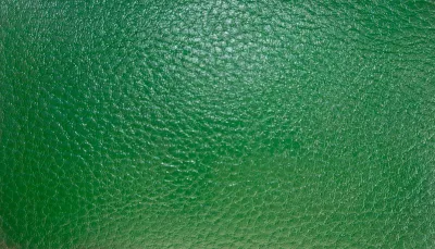 Liam Jacob Premium Glossy Green Acrylic Leather Paint Coloring High-Durability Flexible Finish for any Leather Items