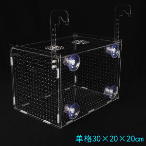 【Ship in 24H】hot 隔离盒板亚克力鱼缸箱水族用品鱼苗繁殖盒双多格带盖大小号2 2 Isolation Plate Acrylic Fish Tank Aquarium Supplies Fish Fry Breeding Double Multi Cell with Lid Size