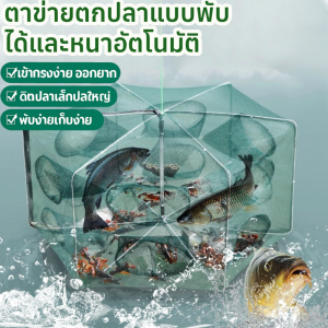 ตะกร้าตกปลาอัตโนมัติแบบพับได้สำหรับผู้ที่ชื่นชอบการตกปลา ไม่เป็นสนิม แห้งเร็ว เหมาะสำหรับผู้ที่ชอบจับกุ้งและปลานิล