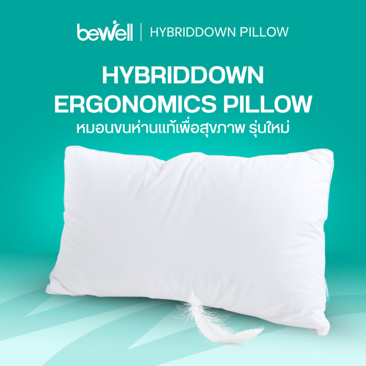 [สินค้าสมนาคุณงดจำหน่าย] Bewell HybridDown Ergonomic Pillow หมอนเพื่อสุขภาพ รุ่นไฮบริดดาวน์ ผสมขนห่านแท้เกรดพรีเมียม กับเส้นใยไมโครเจล