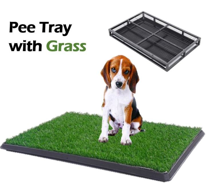 Dog Metal Pee Tray With Grass Artificial Grass Puppy Tray Toilet Pee dog-metal-pee-tray-with-grass-artificial-grass-puppy-tray-toilet-pee