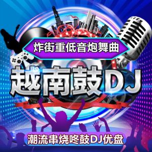 🔥品质 精选🔥炸街DJ越南鼓U盘电音潮流DJ舞曲酒吧重低音嗨曲串烧DJ车载音乐U盘 Fried Street DJ Vietnam Drum U Disk Electronic Music Trend Dance Song Bar Subwoofer Hi Skewer Car