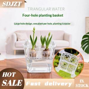 SDJZT Hộp Đựng Thủy canh có giỏ hỗ trợ thoáng khí Chậu Hoa Thủy canh hạt Tulip 4 lỗ Chậu hoa không cần thiết trang trí nhà cửa