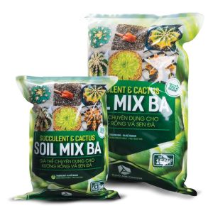 Soil Mix - Đất trồng sen đá trộn sẵn từ các loại đá khoáng đất sen đá xương rồng
