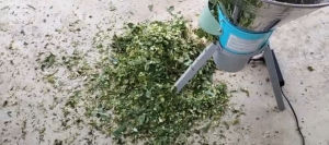 Máy thái rau  bèo tây  băm chuối lát làm thức ăn cho vật nuôi