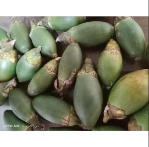 1 Buah Pinang Segar (Areca catechu) Buah Jambe Segar