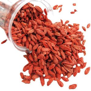 DRIED GOJI BERRY/GOJI BERRY/GOJI BERRY TEA 20 grams/50 grams/100 grams