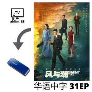 ahlim88 USB China Drama 大陆电视剧《大生意人 + 风与潮》 华语中字