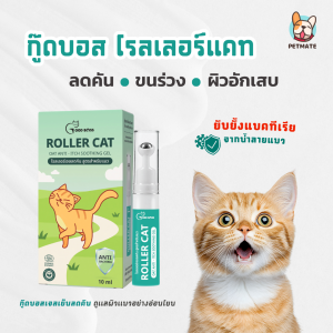 Goodboss Roller Cat เจลเย็นสำหรับเเมว ลดคัน ขนร่วง ผื่นเเดง เเบคทีเรีย สารสกัดจากธรรมชาติ ขนาด 10ml.