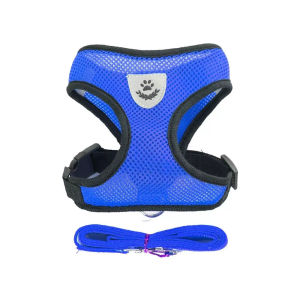 Adjustable Breathable Vest Style Pet Harness and Leash Set Comfort Wearable Outdoor Walking Traction Kit Flexible Size Fits Puppy Dog Cat Safe Sturdy Daily Outdoor Travel Walking Training Accessories
