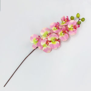 Tanaman Hias Bunga Anggrek Tangkai Plastik Ornamen Dekorasi Hiasan Artificial Flower COD PBP177