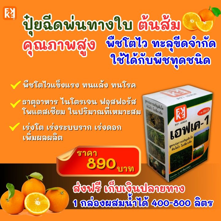 %E0%B8%AA%E0%B9%89%E0%B8%A1%20%E0%B9%82%E0%B8%95%E0%B9%84%E0%B8%A7%20%E0%B9%83%E0%B8%9A%E0%B9%80%E0%B8%82%E0%B8%B5%E0%B8%A2%E0%B8%A7%20%E0%B8%9C%E0%B8%A5%E0%B9%83%E0%B8%AB%E0%B8%8D%E0%B9%88%20%E0%B8%9C%E0%B8%A5%E0%B8%9C%E0%B8%A5%E0%B8%B4%E0%B8%95%E0%B8%94%E0%B8%B5%20%E0%B8%89%E0%B8%B5%E0%B8%94%E0%B8%9E%E0%B9%88%E0%B8%99%E0%B8%9B%E0%B8%B8%E0%B9%8B%E0%B8%A2%20FK-1%20%E0%B8%95%E0%B9%89%E0%B8%99%E0%B8%97%E0%B8%B8%E0%B8%99%E0%B8%95%E0%B9%88%E0%B8%AD%E0%B9%84%E0%B8%A3%E0%B9%88%E0%B8%96%E0%B8%B9%E0%B8%81%E0%B8%81%E0%B8%A7%E0%B9%88%E0%B8%B2%E0%B8%9B%E0%B8%B8%E0%B9%8B%E0%B8%A2%E0%B9%80%E0%B8%A1%E0%B9%87%E0%B8%94%204%E0%B9%80%E0%B8%97%E0%B9%88%E0%B8%B2%20%E0%B9%80%E0%B8%9E%E0%B8%B4%E0%B9%88%E0%B8%A1%E0%B8%9C%E0%B8%A5%E0%B8%9C%E0%B8%A5%E0%B8%B4%E0%B8%95%E0%B8%AA%E0%B8%B9%E0%B8%87%E0%B8%AA%E0%B8%B8%E0%B8%94%2020%E0%B9%80%E0%B8%9B%E0%B8%AD%E0%B8%A3%E0%B9%8C%E0%B9%80%E0%B8%8B%E0%B9%87%E0%B8%99%E0%B8%95%E0%B9%8C%20-%20Image%202