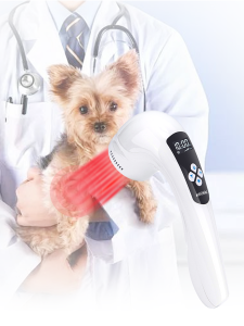 Veterinary Grade 810nm Infrared Therapy Instrument for Animal Pain Relief And Arthritis Treatment